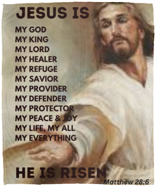 Risen Cozy Plush Fleece Blanket - 50x60